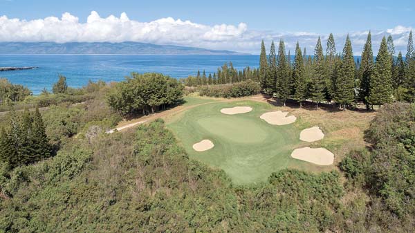 Kapalua Ready To Reveal Revamped Plantation Course News Sports Jobs 